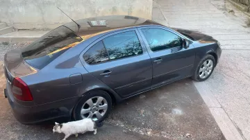 Skoda Octavia 2009 6