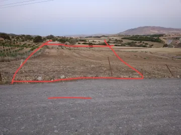Location Terrain Médéa Berrouaghia 6