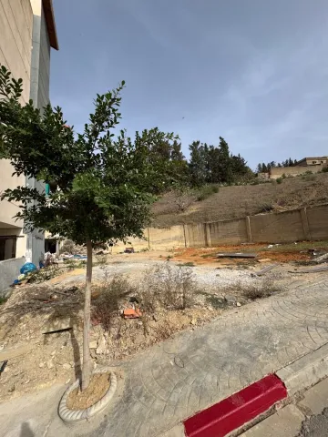 Vente Terrain Alger Douera