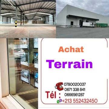 Cherche achat Terrain Mascara Mohammadia