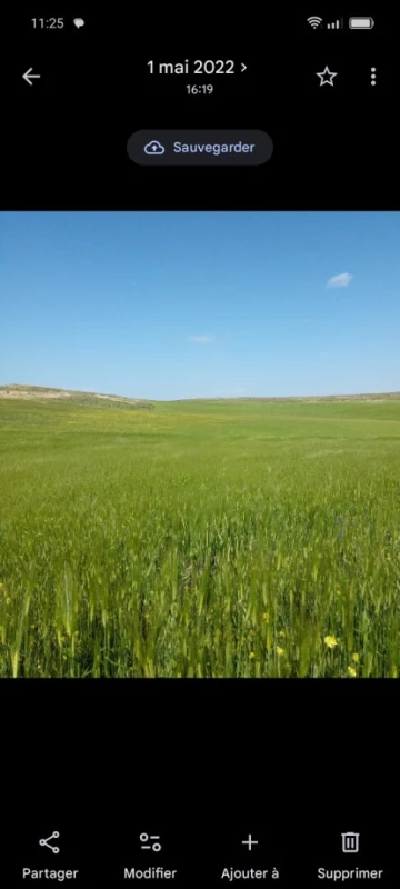Vente Terrain Agricole Tiaret Tiaret