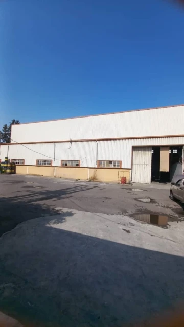 Vente Hangar Blida Blida