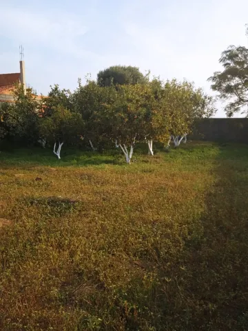 Vente Terrain Alger Hraoua 5