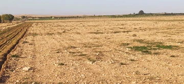 Vente Terrain Agricole Djelfa Ain oussara 9