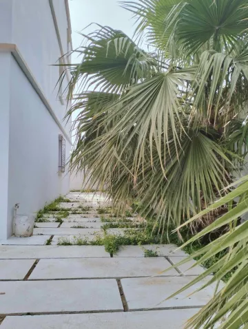 Vente Villa Alger Reghaia 7