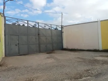 Location Terrain Alger Birtouta 2