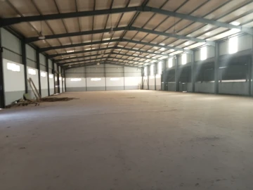Location Hangar Alger Birkhadem 15