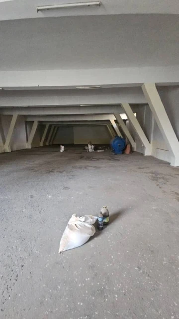 Location Hangar Sidi Bel Abbès Sidi bel abbes 2