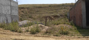 Vente Terrain Bouira Ain el hadjar 3