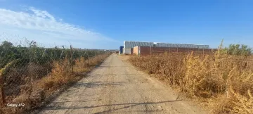 Vente Hangar Alger Tessala el merdja 6