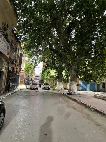 Vente Local Tlemcen Tlemcen 4