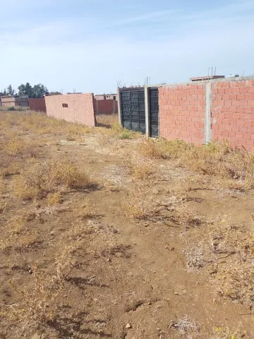 Vente Terrain Blida Ain romana 2