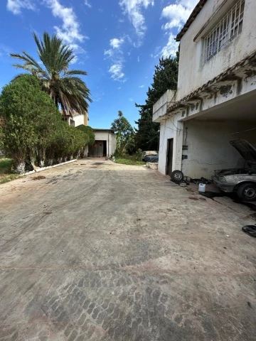 Vente Terrain Tipaza Kolea 4