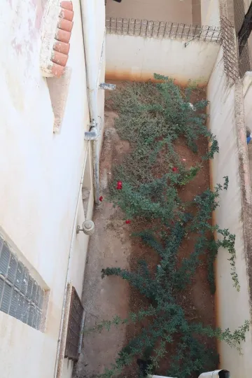 Vente Villa Tipaza Douaouda 23