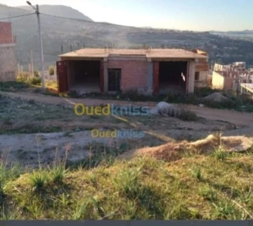 Vente Terrain Constantine Constantine