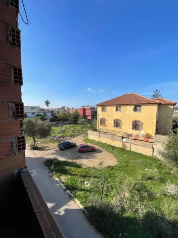 Vente Carcasse Alger Rouiba 3