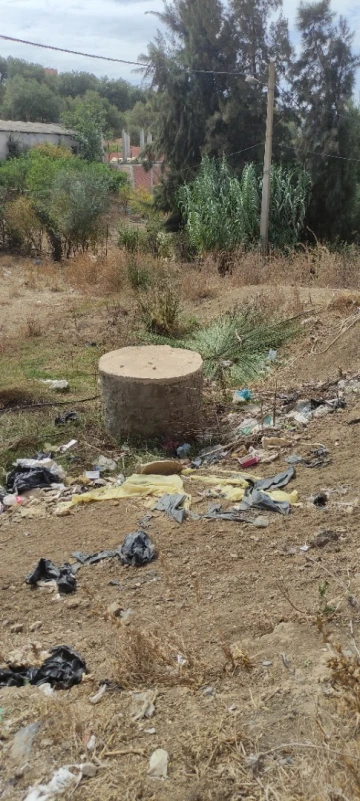Vente Villa Blida El affroun