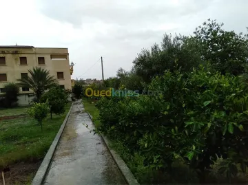 Vente Villa Constantine Hamma bouziane 7