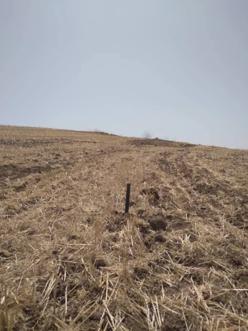 Vente Terrain Agricole Mila Mila
