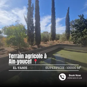 Vente Terrain Agricole Tlemcen Ain youcef 2