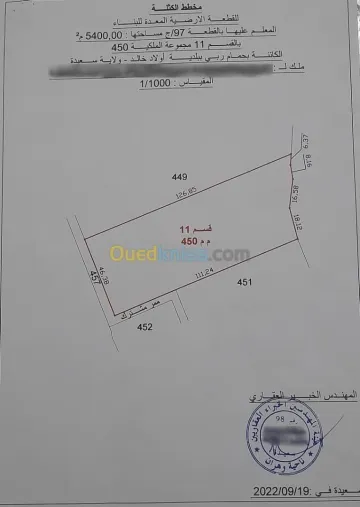 Vente Terrain Saïda Saida 4