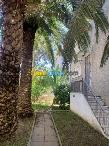 Location Villa Alger Chevalley 25