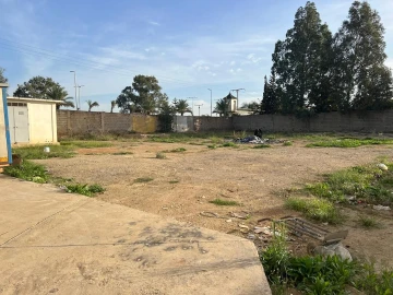 Location Terrain Alger Oued smar 6