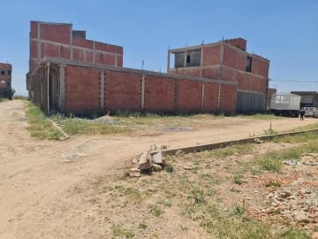 Vente Terrain Sétif Guidjel 2