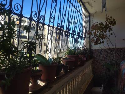 بيع شقة 3 غرف تيبازة شرشال