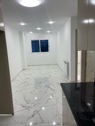 Location Appartement F3 Alger Dely brahim