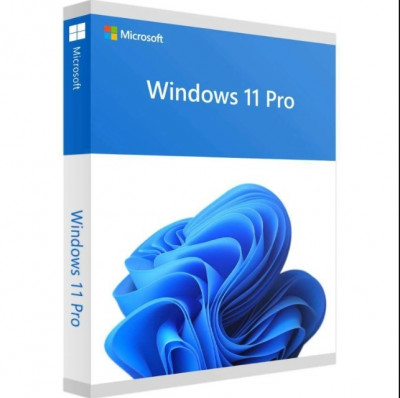 Windows 11 professionnel OEM coffret 