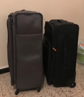 luggage-travel-bags-valises-delsy-lucas-it-mcs-grand-format-pour-les-voyages-ben-aknoun-algiers-algeria