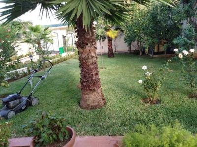 nettoyage-jardinage-entreprise-damenagement-des-espaces-verts-cheraga-alger-algerie