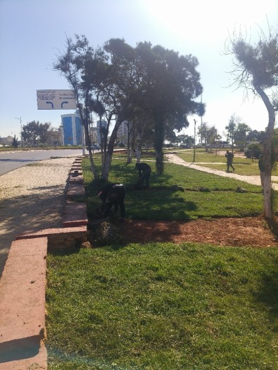 amenagement des espaces vert