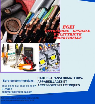 معدات-كهربائية-distribution-et-vente-en-gros-des-equipements-electrique-mt-bt-الرويبة-الجزائر