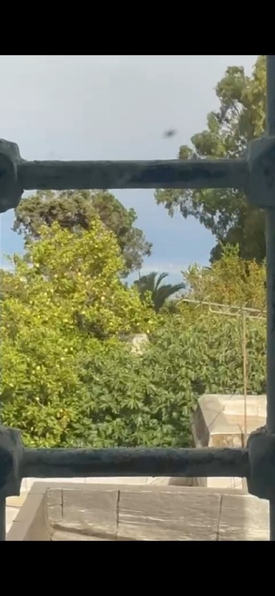 Vente Villa Alger El biar