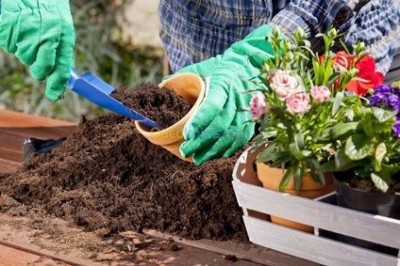 إدارة-مكتبية-و-سكرتارية-agent-horticulteur-vente-دار-البيضاء-الجزائر