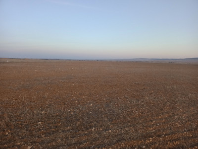 farmland-sell-khenchela-el-mahmal-algeria