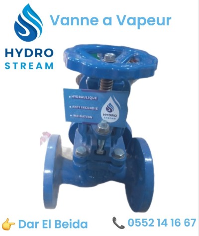 Vanne Vapeur Eau Bride Guillotine Opercule Sphérique Drainage 