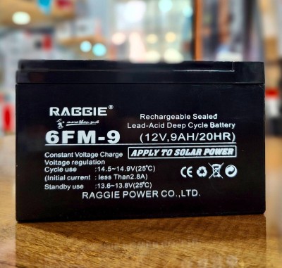 Batterie pour Onduleur 12V_9.0A RAGGIE 
