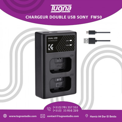 CHARGEUR DOUBLE USB SONY  FW50
