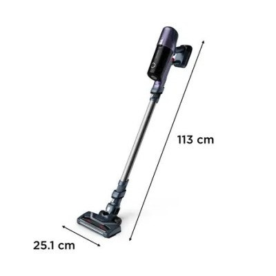 ROWENTA ASPIRATEUR XPERT 6.60 SANS FIL RH6837WO