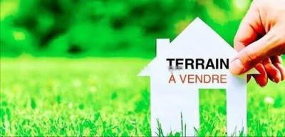 Vente Terrain Alger Ain benian