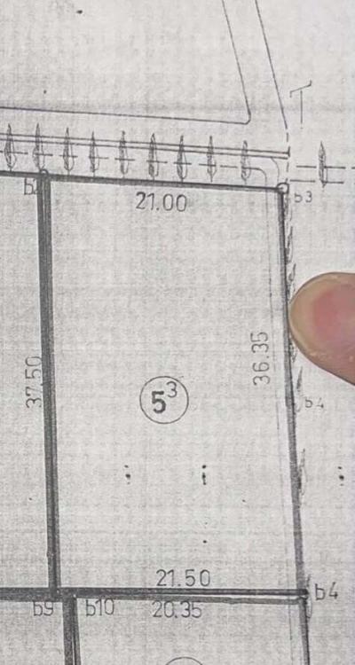 Vente Terrain Alger Ain benian