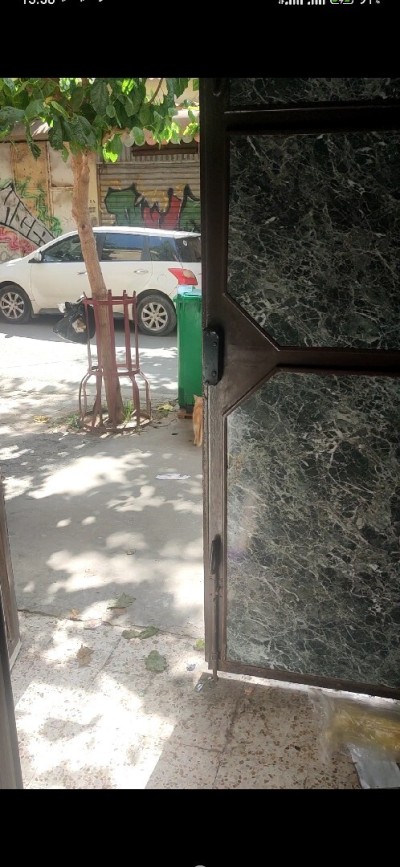 Location Local Alger Ain benian