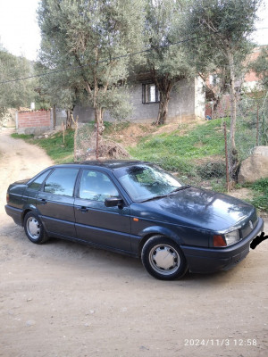 voitures-volkswagen-passat-1993-draa-ben-khedda-tizi-ouzou-algerie