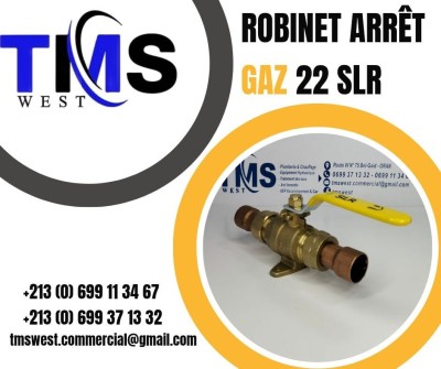 Robinet d'arrêt Gaz 22 SLR