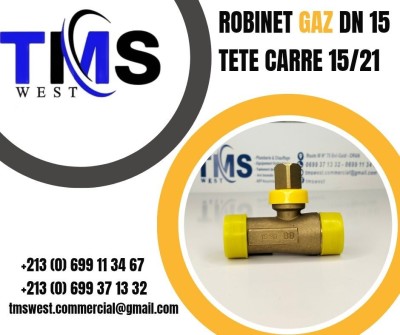 Robinet d'arrêt Gaz DN 15 tête carré