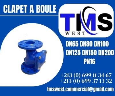 Clapet a boule pn 16 DN65 DN80 DN100 DN125 DN150 DN200