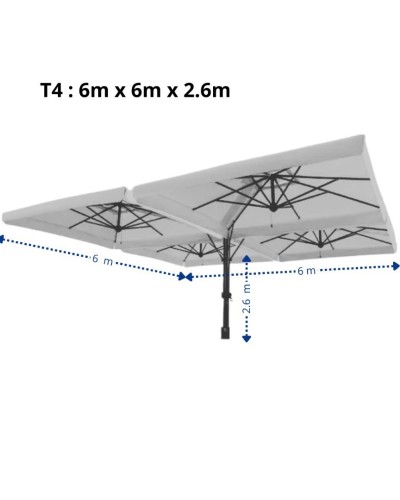 PARASOLS (3/3 3/6 6/6) M